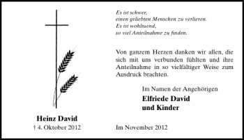 Traueranzeige von Elfriede David und Kinder Heinz David  von Schaumburger Nachrichten