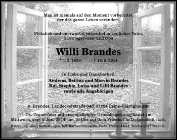 Traueranzeige von Willi Brandes von Peiner Allgemeine Zeitung