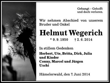 Traueranzeige von Helmut Wegerich von Peiner Allgemeine Zeitung