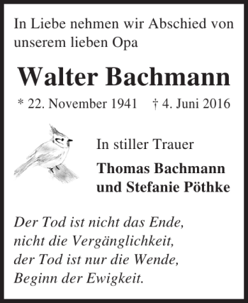 Traueranzeige von Walter Bachmann von Lübecker Nachrichten
