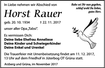 Traueranzeige von Horst Rauer von Torgauer Zeitung