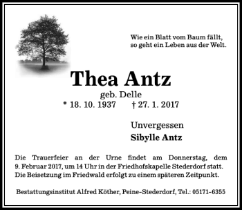 Traueranzeige von Thea Antz von Peiner Allgemeine Zeitung