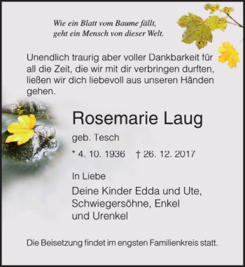Traueranzeige von Rosemarie Laug von Ostsee-Zeitung
