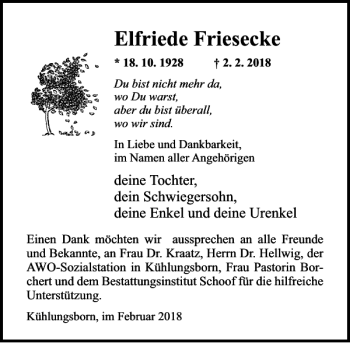 Traueranzeige von Elfriede Friesecke von Ostsee-Zeitung