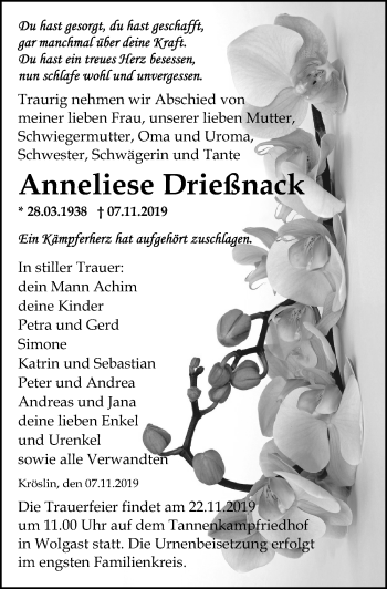 Traueranzeige von Anneliese Drießnack von Ostsee-Zeitung GmbH