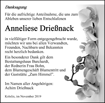 Traueranzeige von Anneliese Drießnack von Ostsee-Zeitung GmbH