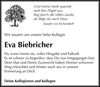 Traueranzeige von Eva Biebricher von Göttinger Tageblatt