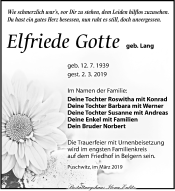 Traueranzeige von Elfriede Gotte von Torgauer Zeitung