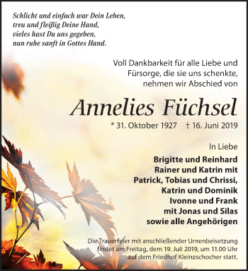 Traueranzeige von Annelies Füchsel von Leipziger Volkszeitung