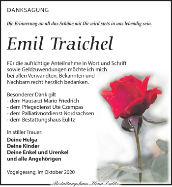 Traueranzeige von Emil Traichel von Torgauer Zeitung