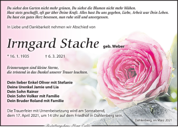 Traueranzeige von Irmgard Stache von Torgauer Zeitung