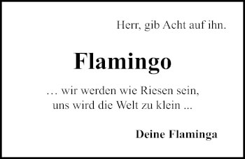 Traueranzeige von Flamingo  von Lübecker Nachrichten