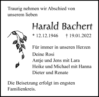 Traueranzeige von Harald Bachert von Ostsee-Zeitung GmbH