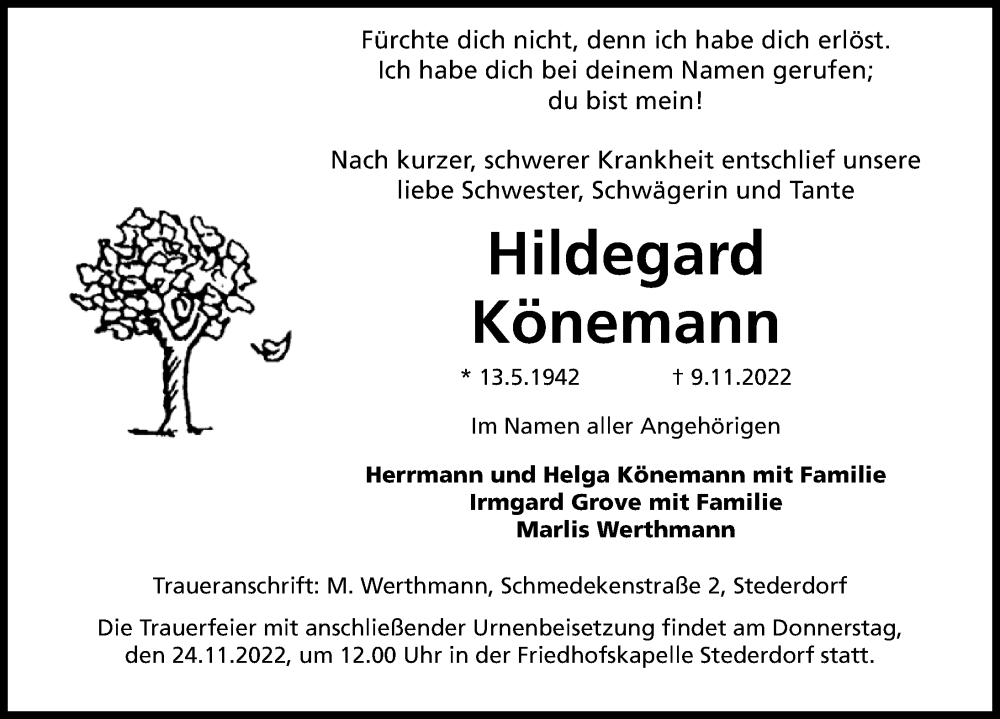  Traueranzeige für Hildegard Könemann vom 19.11.2022 aus Peiner Allgemeine Zeitung