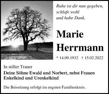 Traueranzeige von Marie Herrmann von Ostsee-Zeitung GmbH