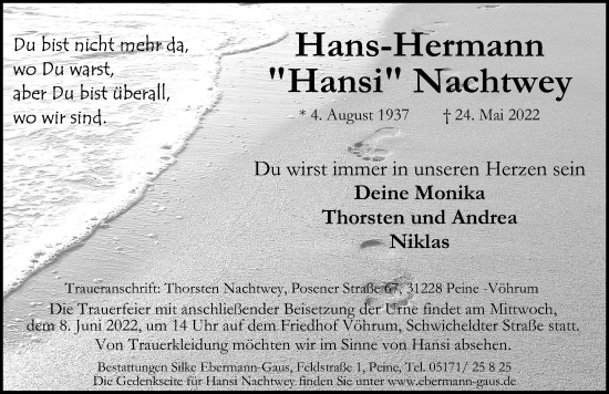 Traueranzeige von Hans-Hermann Nachtwey von Peiner Allgemeine Zeitung