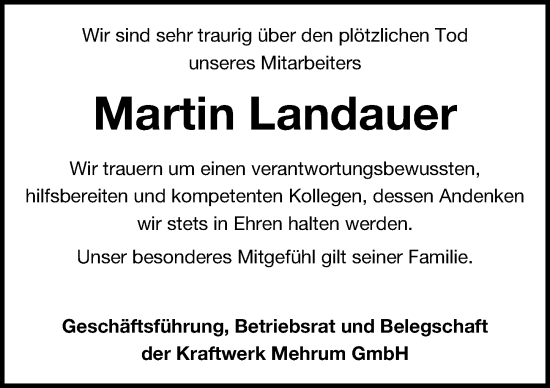 Traueranzeige von Martin Landauer von Peiner Allgemeine Zeitung