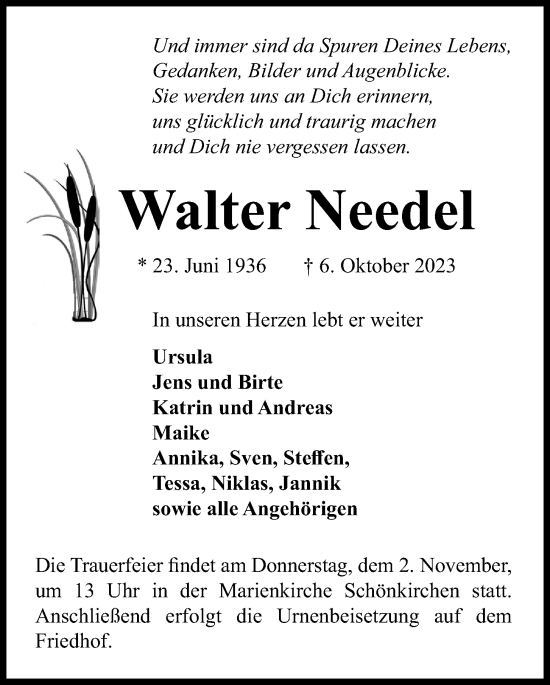 Traueranzeige von Walter Needel von Kieler Nachrichten