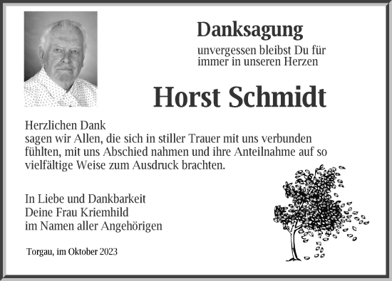 Traueranzeige von Horst Schmidt von Torgauer Zeitung
