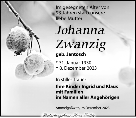 Traueranzeige von Johanna Zwanzig von Torgauer Zeitung