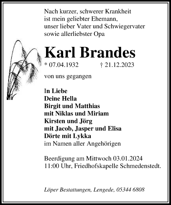 Traueranzeige von Karl Brandes von Peiner Allgemeine Zeitung