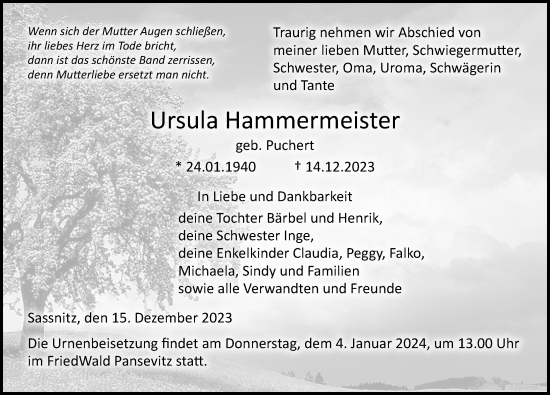 Traueranzeige von Ursula Hammermeister von Ostsee-Zeitung GmbH