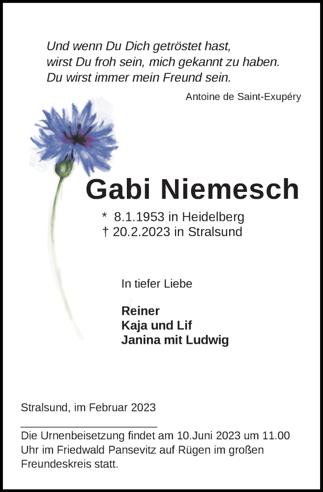  Traueranzeige für Gabi Niemesch vom 25.02.2023 aus Ostsee-Zeitung GmbH