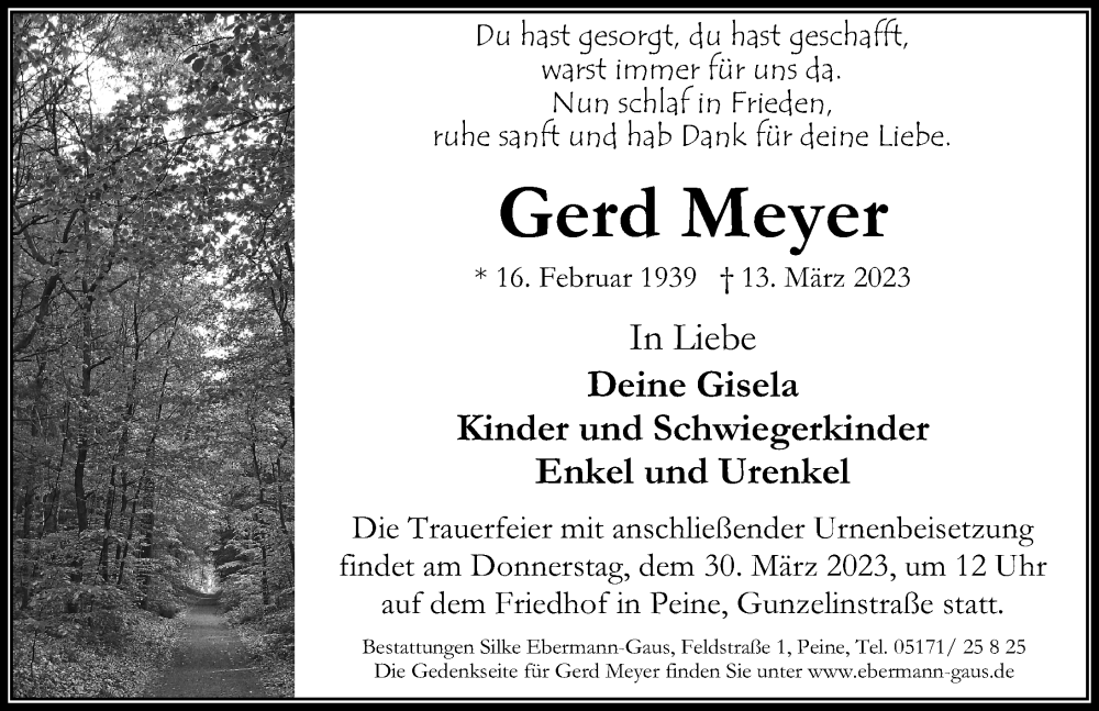  Traueranzeige für Gerd Meyer vom 18.03.2023 aus Peiner Allgemeine Zeitung