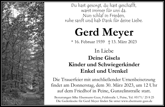 Traueranzeige von Gerd Meyer von Peiner Allgemeine Zeitung