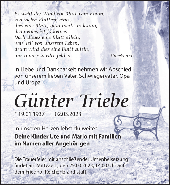 Traueranzeige von Günter Triebe von Leipziger Volkszeitung