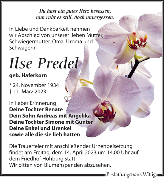 Traueranzeige von Ilse Predel von Leipziger Volkszeitung