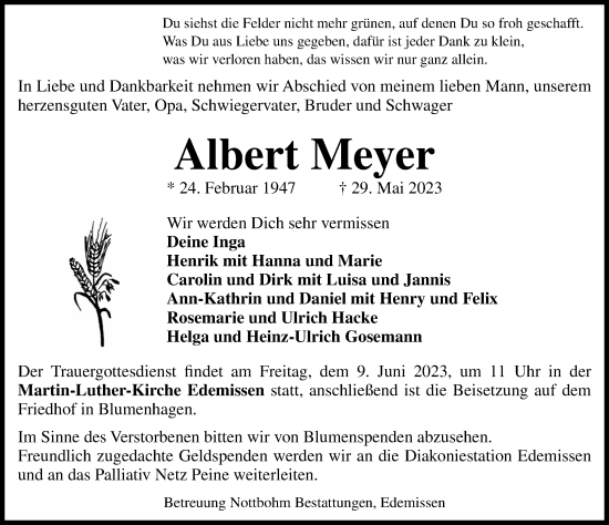 Traueranzeige von Albert Meyer von Peiner Allgemeine Zeitung