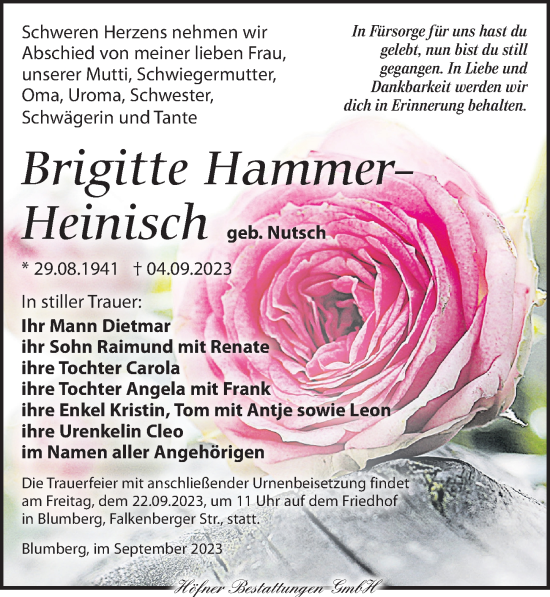 Traueranzeige von Brigitte Hammer-Heinisch von Torgauer Zeitung