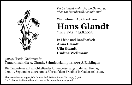 Traueranzeige von Hans Glandt von Peiner Allgemeine Zeitung