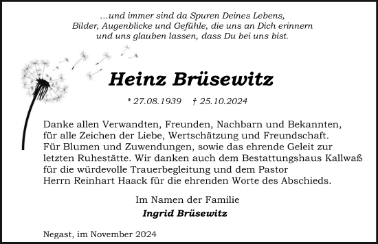 Traueranzeige von Heinz Brüsewitz von Ostsee-Zeitung GmbH