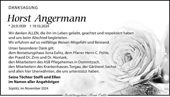 Traueranzeige von Horst Angermann von Torgauer Zeitung