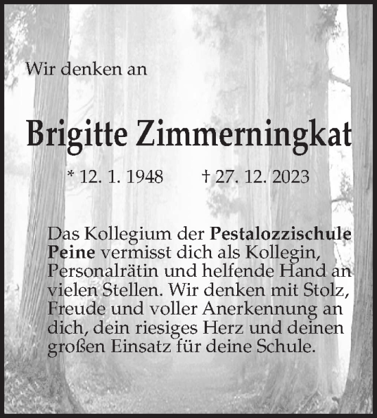 Traueranzeige von Brigitte Zimmerningkat von Peiner Allgemeine Zeitung