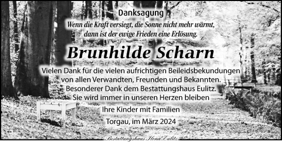 Traueranzeige von Brunhilde Scharn von Torgauer Zeitung