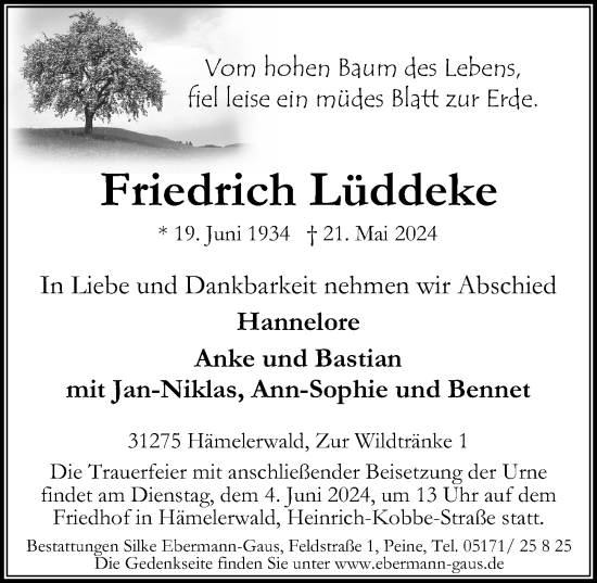 Traueranzeige von Friedrich Lüddeke von Peiner Allgemeine Zeitung