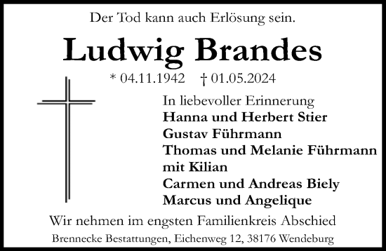 Traueranzeige von Ludwig Brandes von Peiner Allgemeine Zeitung