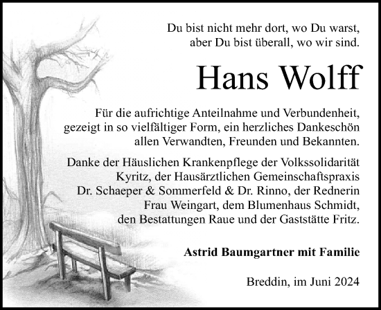 Traueranzeige von Hans Wolff