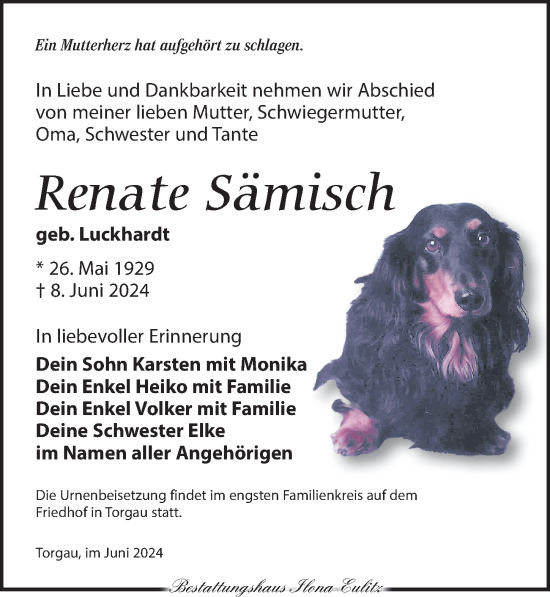 Traueranzeige von Renate Sämisch von Torgauer Zeitung