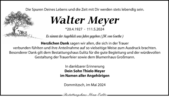 Traueranzeige von Walter Meyer von Torgauer Zeitung