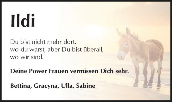 Traueranzeige von Ildi  von Göttinger Tageblatt