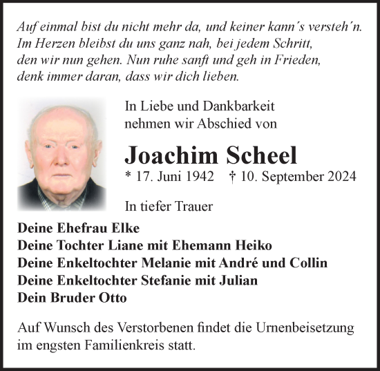 Traueranzeige von Joachim Scheel von Wochenspiegel