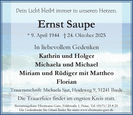 Traueranzeige von Ernst Saupe von Peiner Allgemeine Zeitung