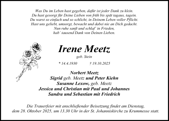 Traueranzeige von Irene Meetz von Lübecker Nachrichten