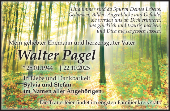 Traueranzeige von Walter Pagel von Sächsische Zeitung