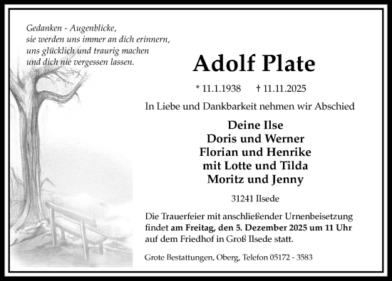 Traueranzeige von Adolf Plate von Peiner Allgemeine Zeitung