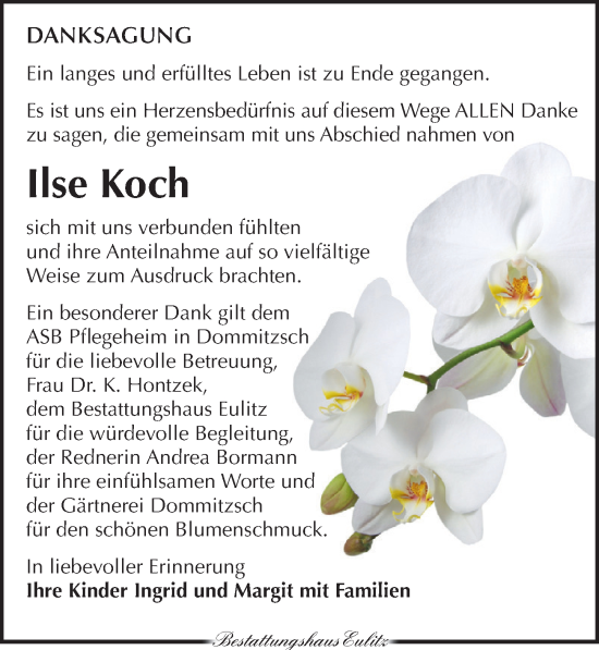 Traueranzeige von Ilse Koch von Torgauer Zeitung